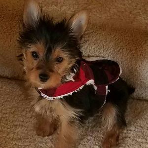 Meet your Posher, Erika